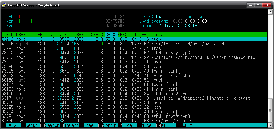 FreeBSD-htop.png
